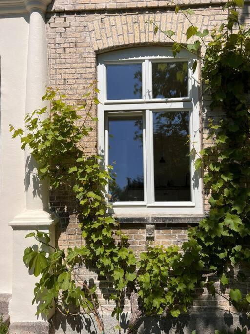 Idyllisches Appartement Nahe Ostsee Und Schlei Rabenkirchen-Faulück エクステリア 写真